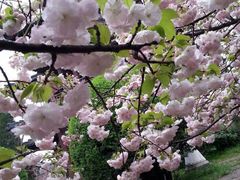 iphone_upload_pic-西安青龙寺遗址景区