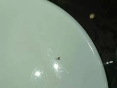 -嘎吧锅私家菜馆(新村十区店)