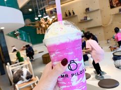 -飞行喵MR PILOT|猫舍·猫咖(静安大融城店)