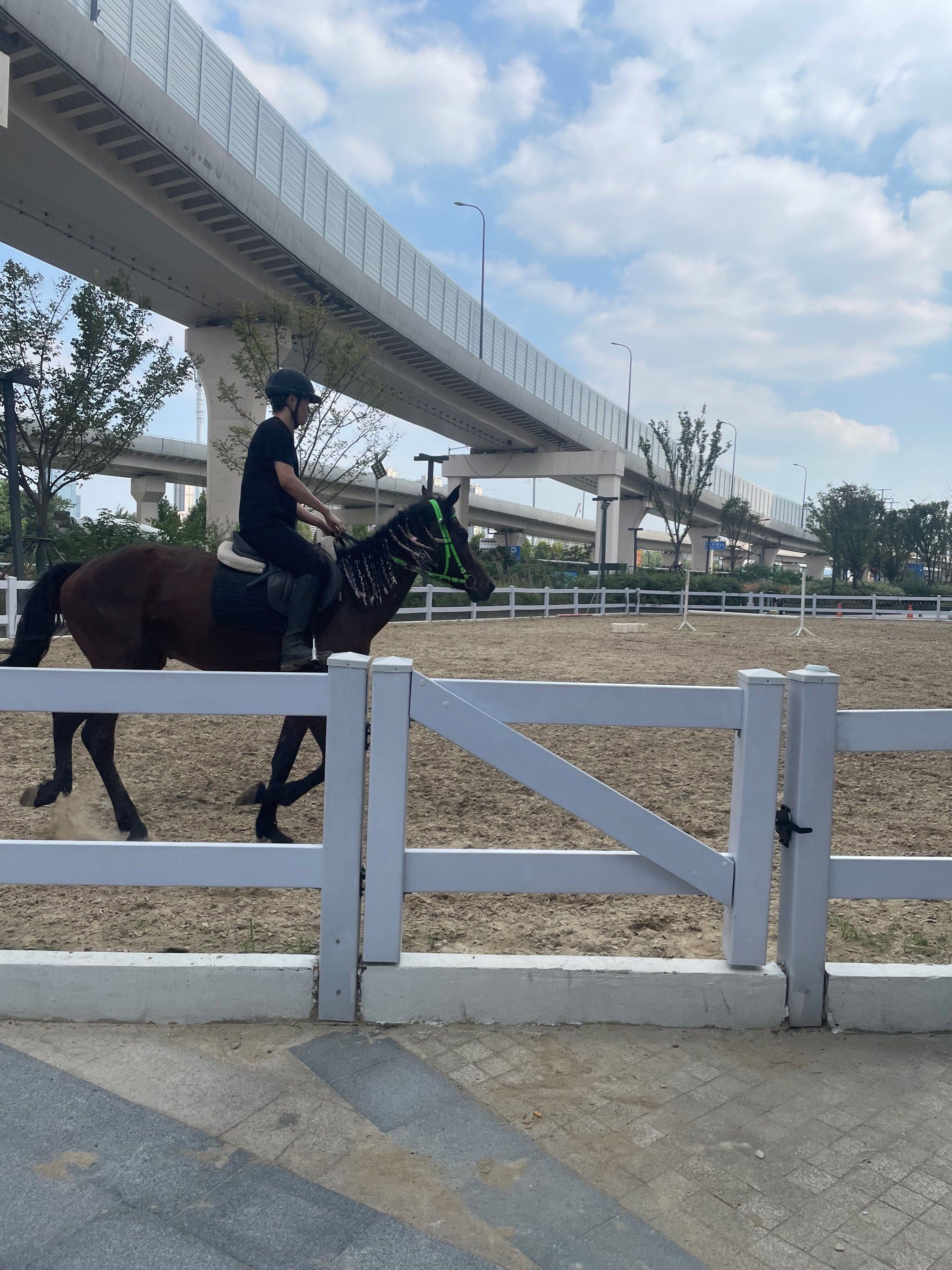 城市中的骑马场