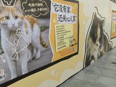 -五月花商业广场(中山五路店)