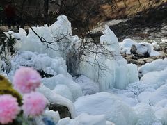-少华山国家森林公园