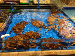 -船歌·鱼水饺青岛菜(闽江二路店)