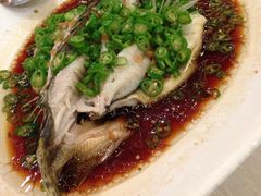 青椒冬尖蒸鲑鱼-文杏酒楼(一品天下店)
