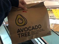 -油梨树AVOCADO TREE(望京店)