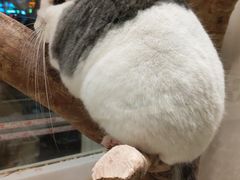 -龙猫仔乐园(惠福东路店)