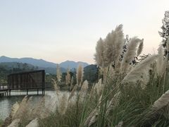 -坝光海滩