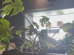 -上岛咖啡(珠园店)