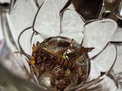 游水斑节虾-海鲨湾海鲜会馆(百家湖1912店)