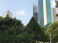 -西北湖绿化广场