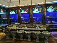 -珍宝轩海鲜火锅(碧湖大厦店)