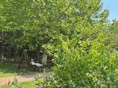 -秦皇岛秦皇国际大酒店