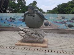 -广东惠东海龟国家级自然保护区