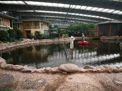 -御龙温泉度假村