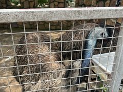 -金庭庄园酒店-停车场