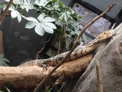 -昆明动物园