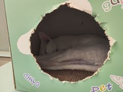 -龙湖重庆时代天街