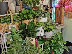 -花里花店(唐镇阳光天地店)