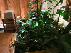 -浅深(北京北四环精品店)