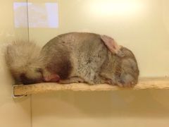 iphone_upload_pic-龙猫仔乐园(惠福东路店)