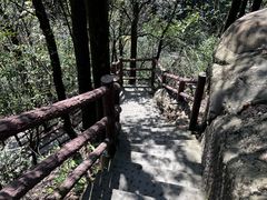 -缙云山景区