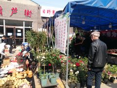 -中环花鸟鱼虫市场