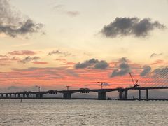 -芒洲湿地公园
