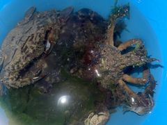 -青岛第三海水浴场