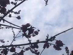 -泰丰公园