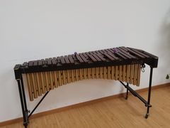 -音歆国艺馆·民乐培训(双榆树店)