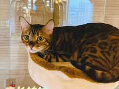 -Me Coffee下午茶艺术空间