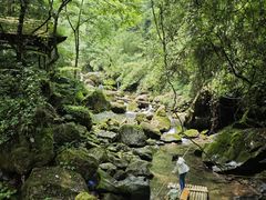 -青城山