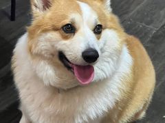 -肥朵食堂(带梦胡同店)