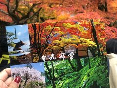 -常寂光寺