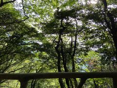 -萍乡武功山风景名胜区