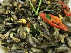 薄壳-老三鱼仔店