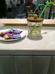 大厅-黛蓝形象定制