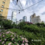 谁还没来过王府井的这个大菠萝🍍