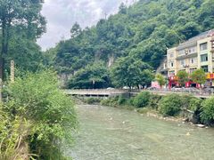 -重庆睡佛山森林公园