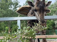 -水上乐园·欢乐世界