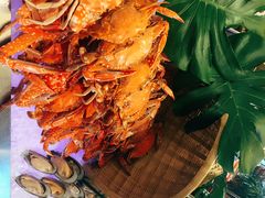 -南湖名都·景湖轩全日制餐厅·海鲜自助·东南亚风味·临湖而食
