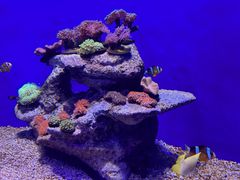 -广州海洋馆