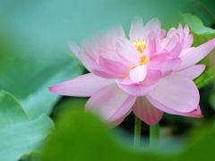 -绍兴鉴湖君澜大酒店