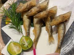 -乌君·酒场·炭火烧鸟(侨城坊店)