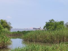 -上海吴淞炮台湾国家湿地公园