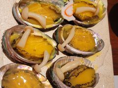 -黑松白鹿(新活馆店)