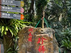 -深圳仙湖植物园