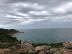 -广东惠东海龟国家级自然保护区