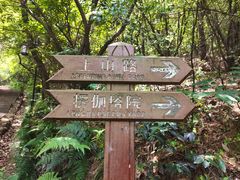 -苏州上方山国家森林公园