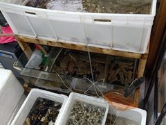 水产区-阿杰臻选海鲜饭店(普陀山店)